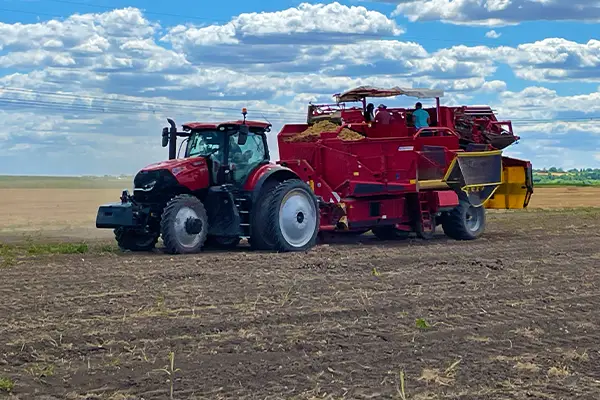 “ジャガイモの収穫中